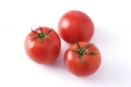 トマトの栽培方法